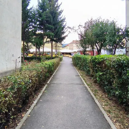 5 Star Brašov